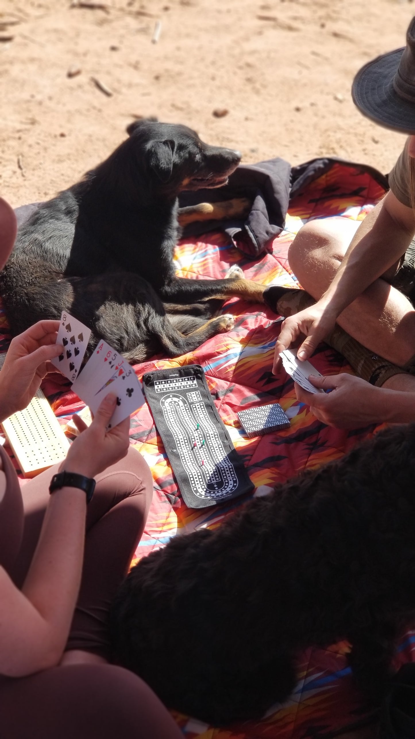 MagBoard: Cribbage & Mancala