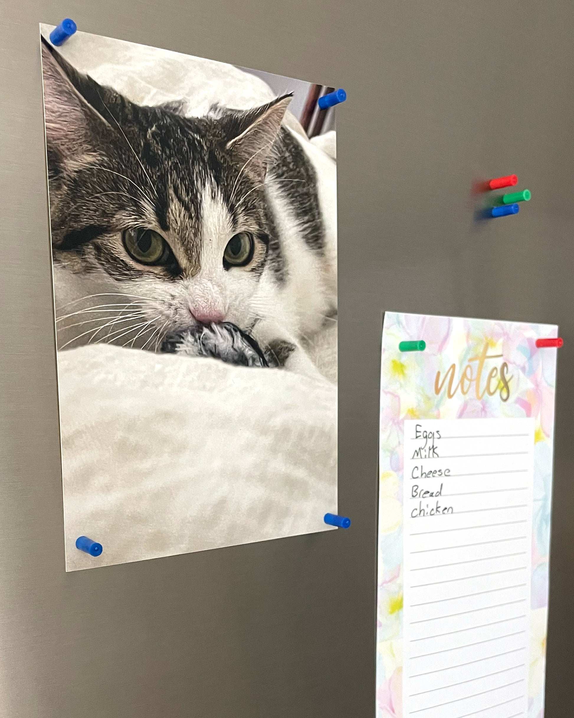 Map magnets on stainless steel refrigerator holding up a picture of a cat and a shopping list